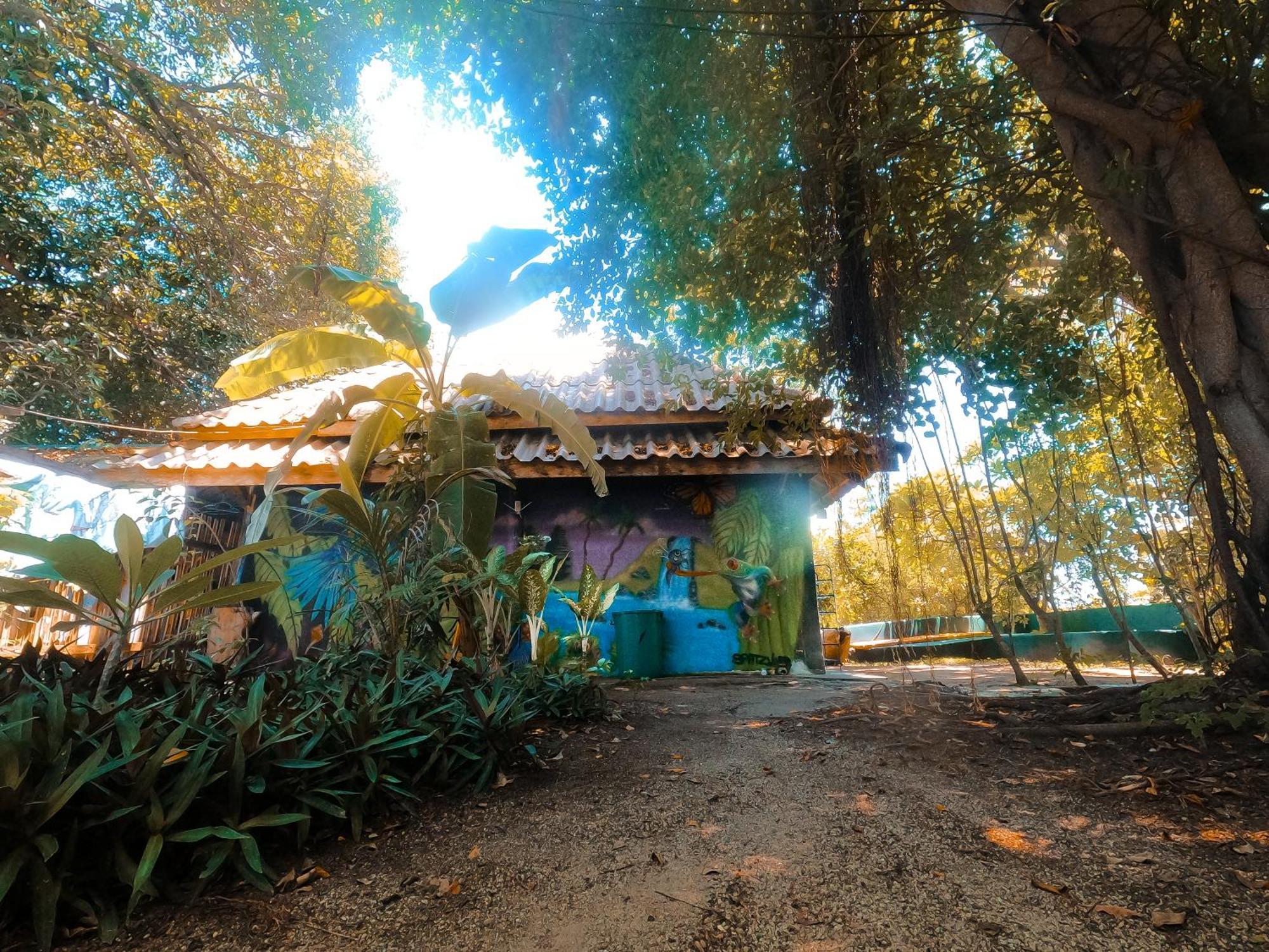 Moov Inn Garden Hostel Ko Tao Dış mekan fotoğraf